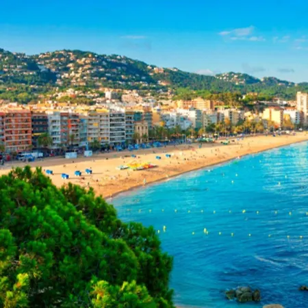 Blanc Lloret 료렛 드 마르