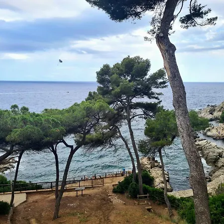 Blanc Lloret ホテル リョレート・デ・マル
